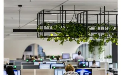 Kuando Busylight Omega (15410) - SynFore